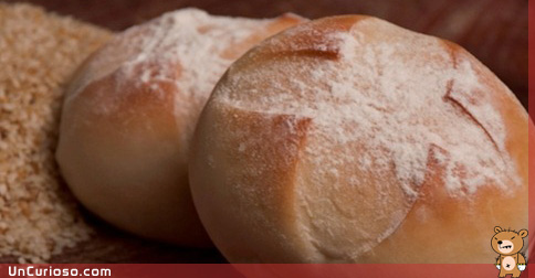Cómo se hace el pan